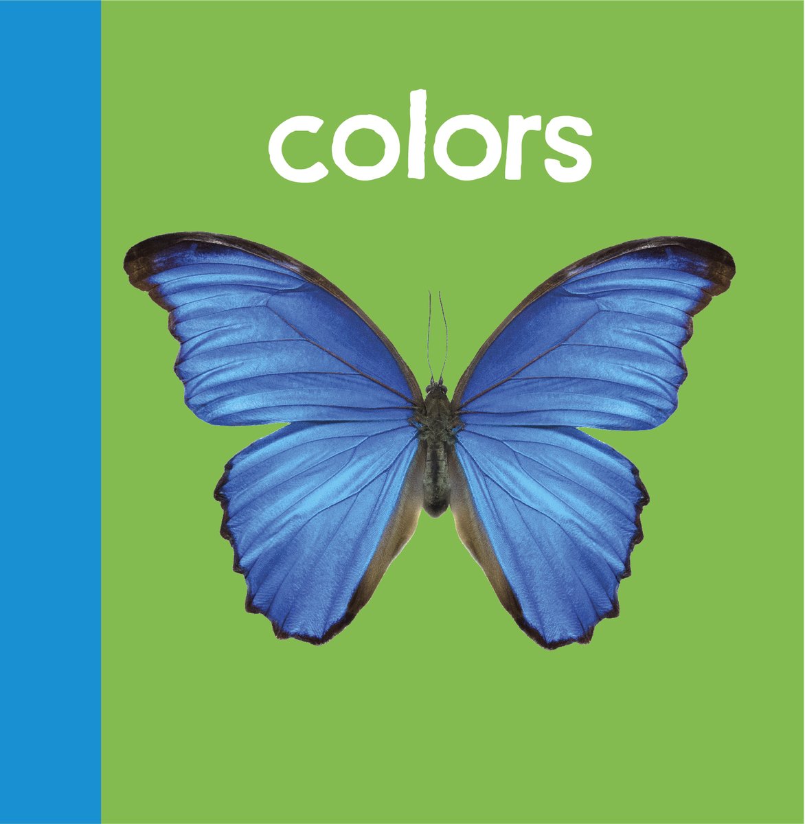 Colors-English-Baby Beginnings